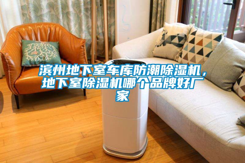 濱州地下室車庫防潮除濕機(jī)，地下室除濕機(jī)哪個品牌好廠家