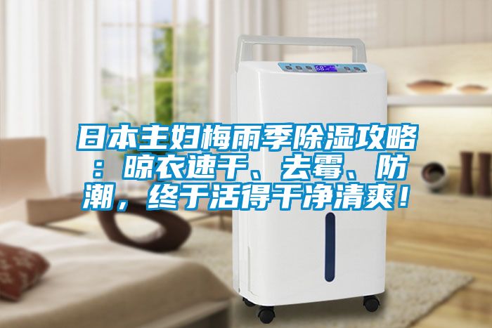 日本主婦梅雨季除濕攻略：晾衣速干、去霉、防潮，終于活得干凈清爽！