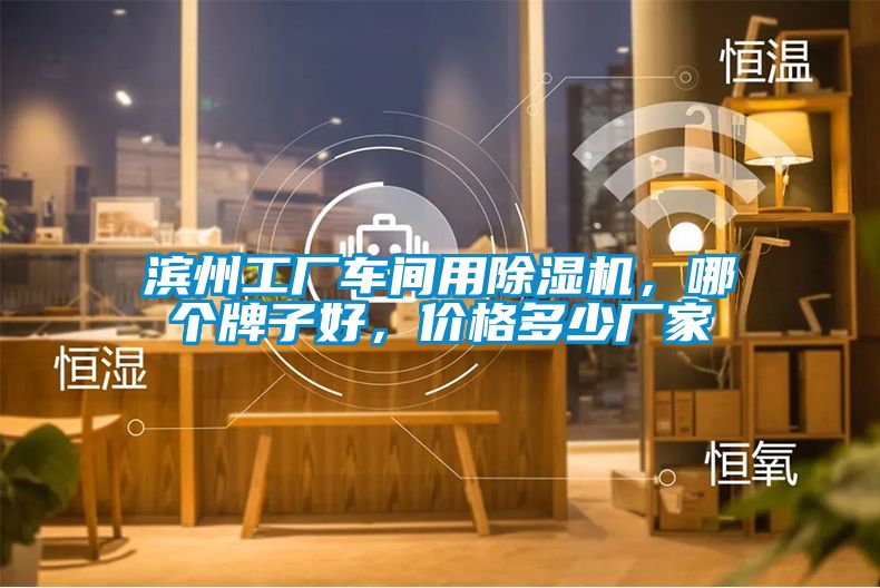 濱州工廠車間用除濕機，哪個牌子好，價格多少廠家