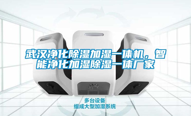 武漢凈化除濕加濕一體機，智能凈化加濕除濕一體廠家