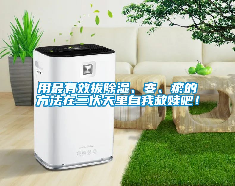 用最有效拔除濕、寒、瘀的方法在三伏天里自我救贖吧！