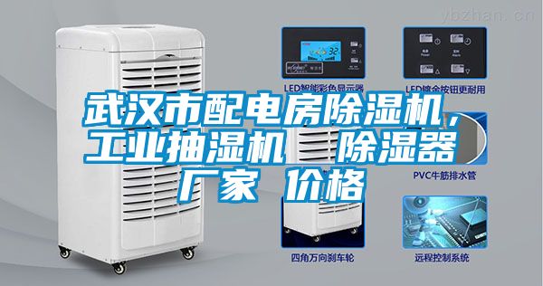 武漢市配電房除濕機(jī)，工業(yè)抽濕機(jī)  除濕器廠家 價(jià)格