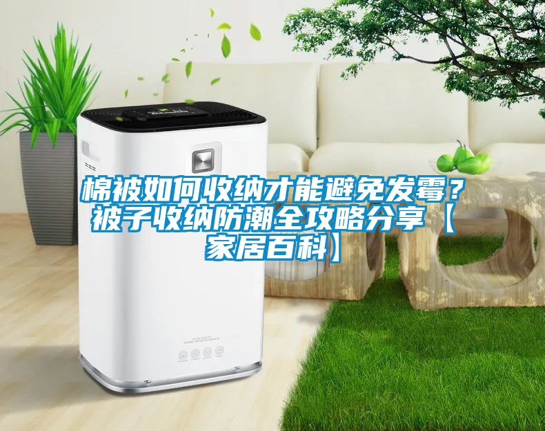 棉被如何收納才能避免發(fā)霉？被子收納防潮全攻略分享【家居百科】