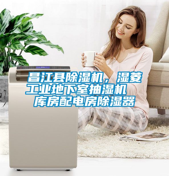 昌江縣除濕機(jī)，濕菱工業(yè)地下室抽濕機(jī)  庫(kù)房配電房除濕器