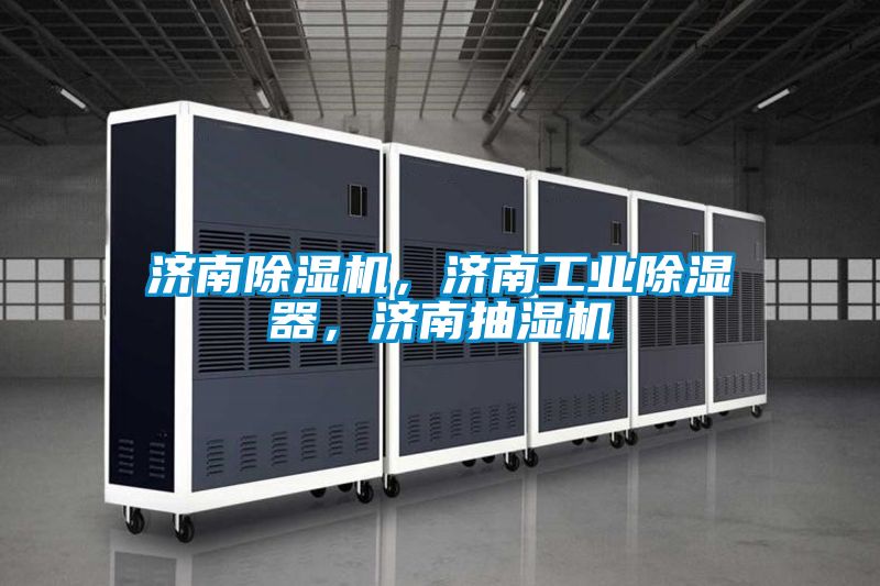 濟南除濕機，濟南工業(yè)除濕器，濟南抽濕機
