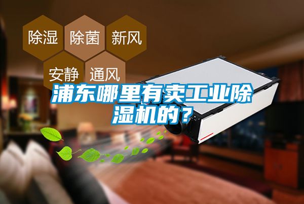 浦東哪里有賣工業(yè)除濕機的？