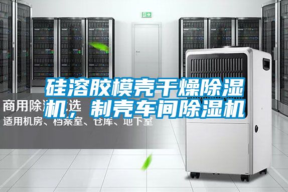 硅溶膠模殼干燥除濕機(jī)，制殼車間除濕機(jī)