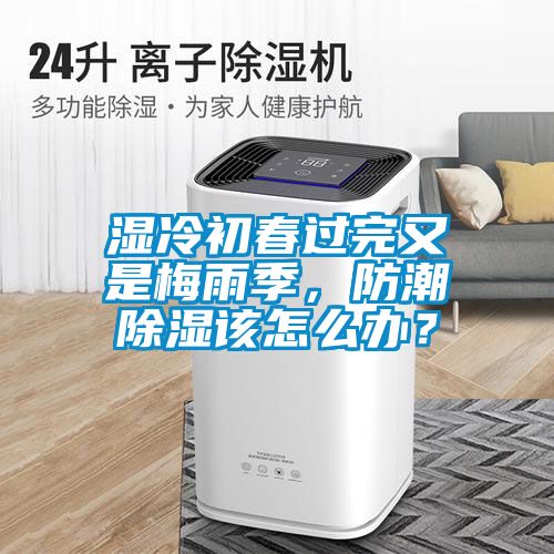 濕冷初春過完又是梅雨季，防潮除濕該怎么辦？