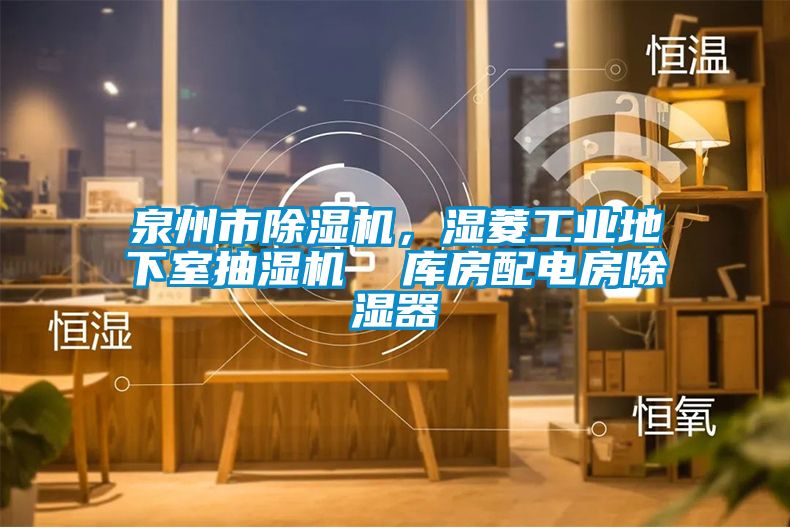 泉州市除濕機，濕菱工業(yè)地下室抽濕機  庫房配電房除濕器