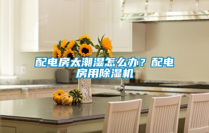 配電房太潮濕怎么辦？配電房用除濕機