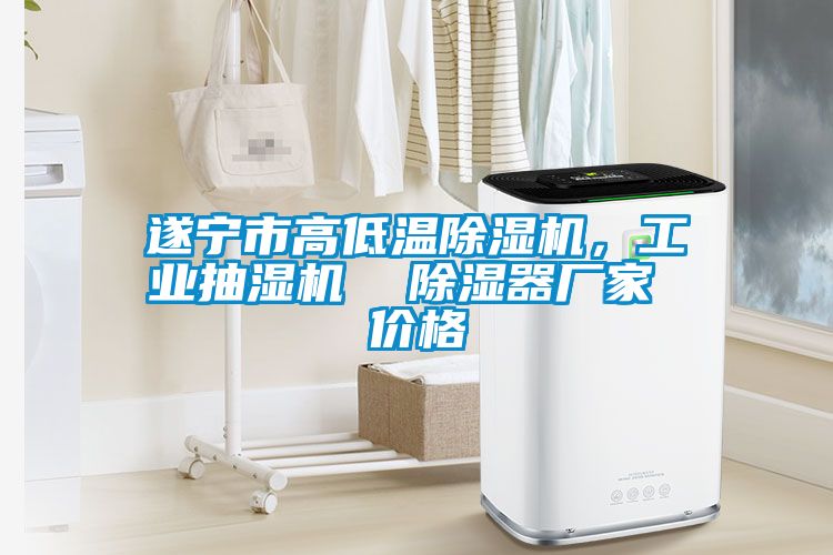 遂寧市高低溫除濕機(jī)，工業(yè)抽濕機(jī)  除濕器廠家 價(jià)格