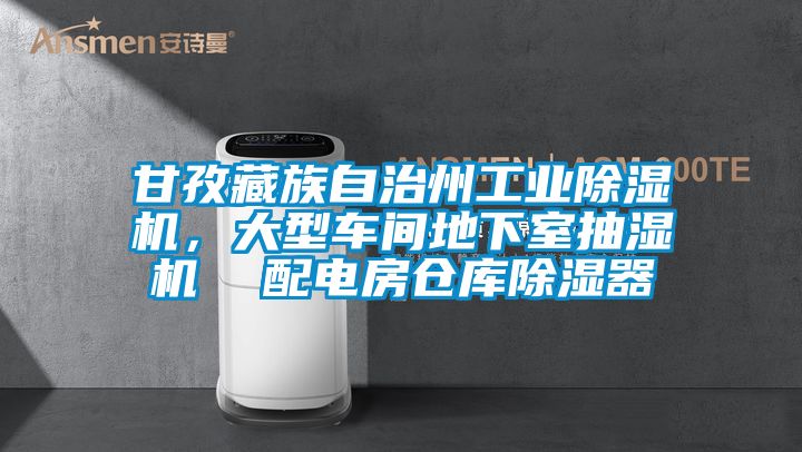 甘孜藏族自治州工業(yè)除濕機(jī)，大型車間地下室抽濕機(jī)  配電房倉庫除濕器