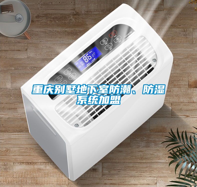 重慶別墅地下室防潮、防濕系統(tǒng)加盟