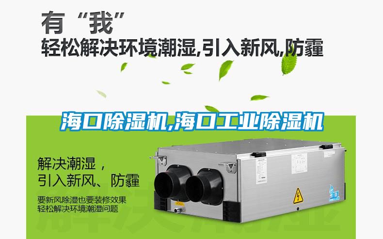 ?？诔凉駲C(jī),海口工業(yè)除濕機(jī)