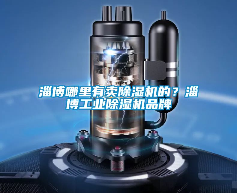 淄博哪里有賣除濕機(jī)的？淄博工業(yè)除濕機(jī)品牌