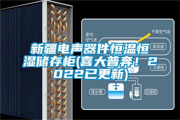 新疆電聲器件恒溫恒濕儲存柜(喜大普奔！2022已更新)