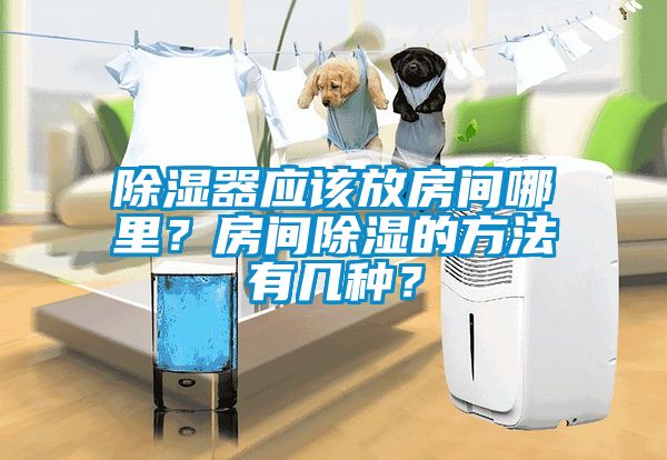 除濕器應(yīng)該放房間哪里？房間除濕的方法有幾種？