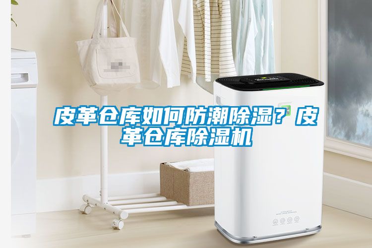 皮革倉(cāng)庫(kù)如何防潮除濕？皮革倉(cāng)庫(kù)除濕機(jī)