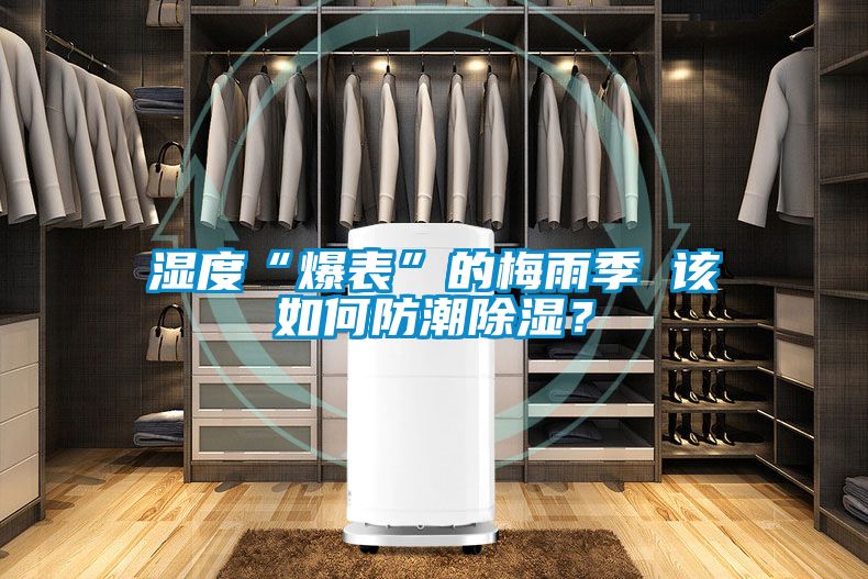 濕度“爆表”的梅雨季 該如何防潮除濕？