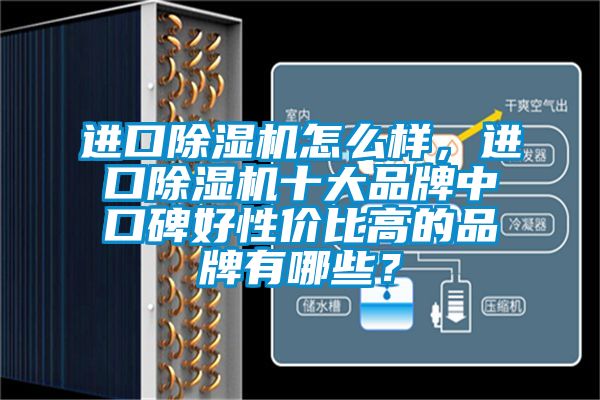 進口除濕機怎么樣，進口除濕機十大品牌中口碑好性價比高的品牌有哪些？