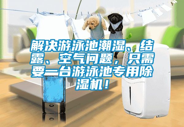 解決游泳池潮濕、結露、空氣問題，只需要一臺游泳池專用除濕機！