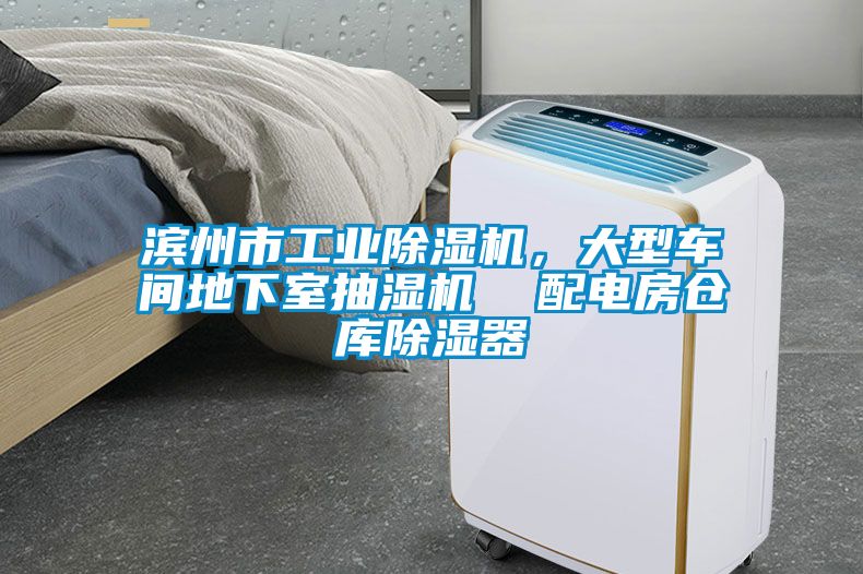 濱州市工業(yè)除濕機(jī)，大型車間地下室抽濕機(jī)  配電房倉庫除濕器