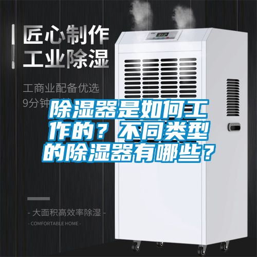 除濕器是如何工作的？不同類型的除濕器有哪些？