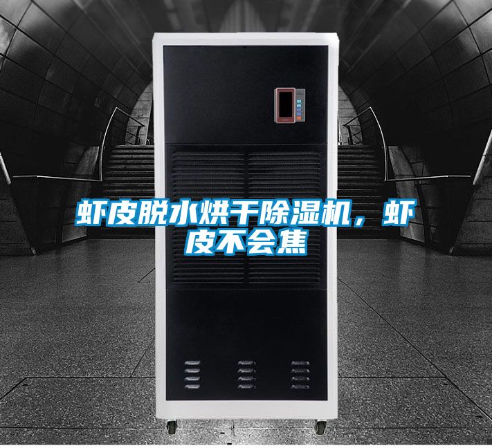 蝦皮脫水烘干除濕機，蝦皮不會焦