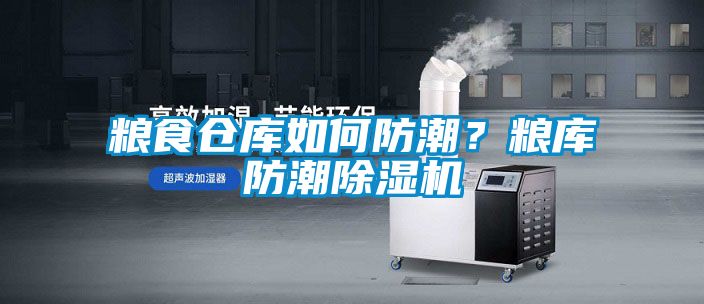 糧食倉(cāng)庫(kù)如何防潮？糧庫(kù)防潮除濕機(jī)