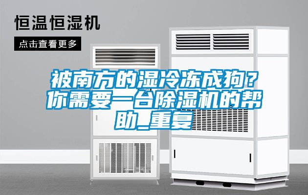 被南方的濕冷凍成狗？你需要一臺除濕機的幫助_重復(fù)