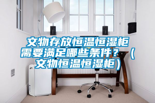 文物存放恒溫恒濕柜需要滿足哪些條件？（文物恒溫恒濕柜）