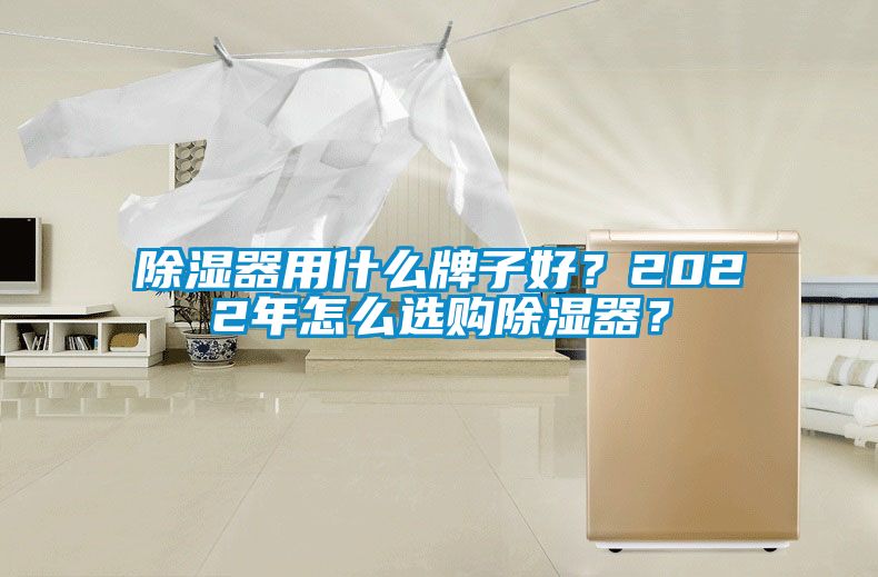 除濕器用什么牌子好？2022年怎么選購除濕器？
