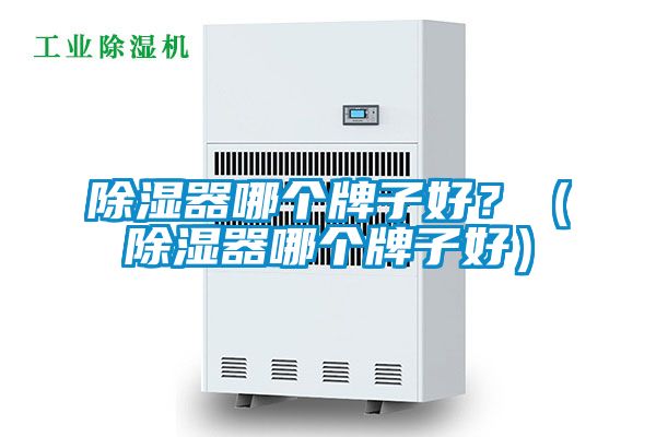 除濕器哪個(gè)牌子好？（除濕器哪個(gè)牌子好）