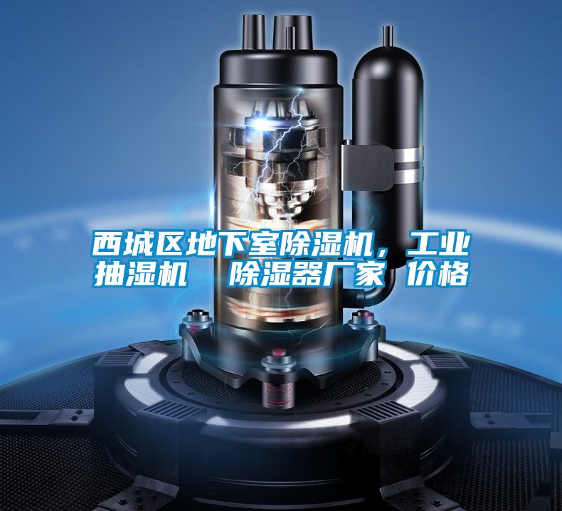 西城區(qū)地下室除濕機(jī)，工業(yè)抽濕機(jī)  除濕器廠家 價(jià)格