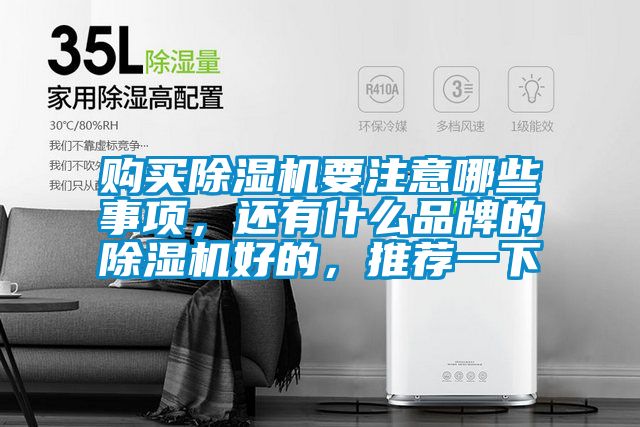 購買除濕機(jī)要注意哪些事項(xiàng)，還有什么品牌的除濕機(jī)好的，推薦一下
