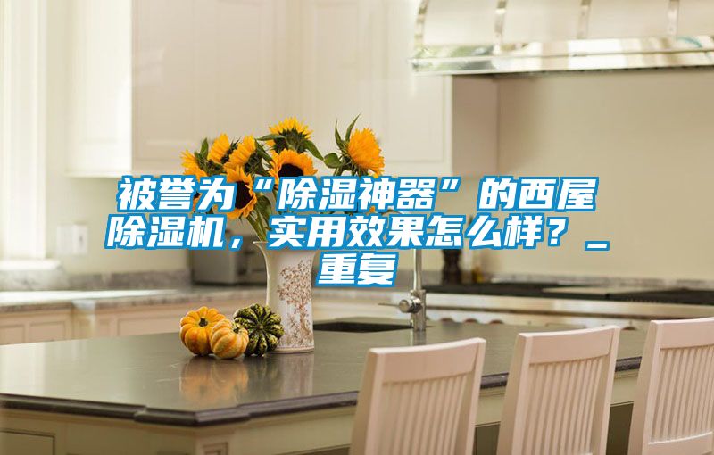 被譽(yù)為“除濕神器”的西屋除濕機(jī)，實(shí)用效果怎么樣？_重復(fù)