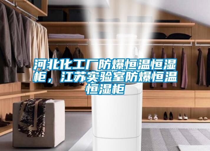 河北化工廠防爆恒溫恒濕柜，江蘇實(shí)驗(yàn)室防爆恒溫恒濕柜