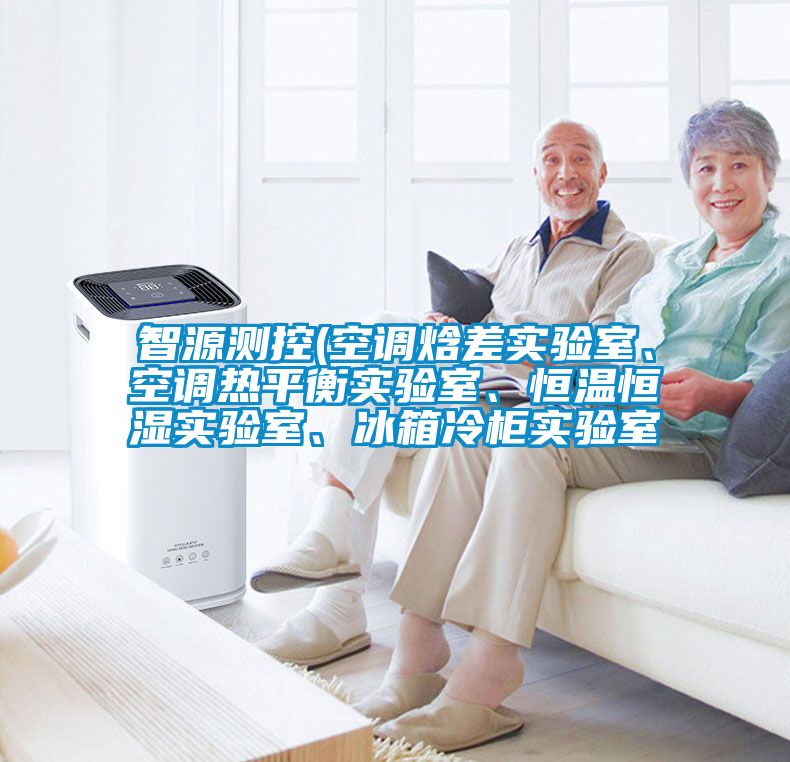 智源測控(空調(diào)焓差實驗室、空調(diào)熱平衡實驗室、恒溫恒濕實驗室、冰箱冷柜實驗室