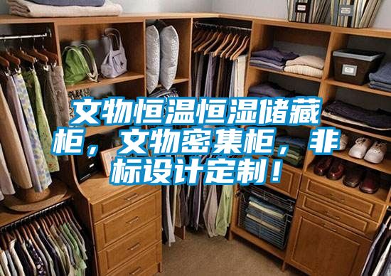 文物恒溫恒濕儲(chǔ)藏柜，文物密集柜，非標(biāo)設(shè)計(jì)定制！