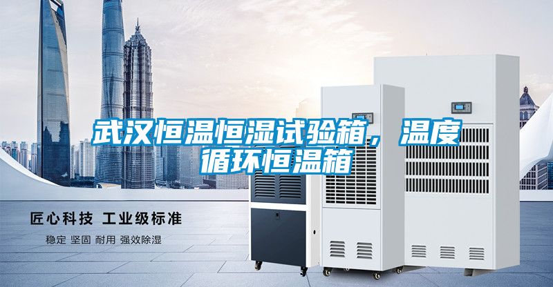 武漢恒溫恒濕試驗(yàn)箱，溫度循環(huán)恒溫箱