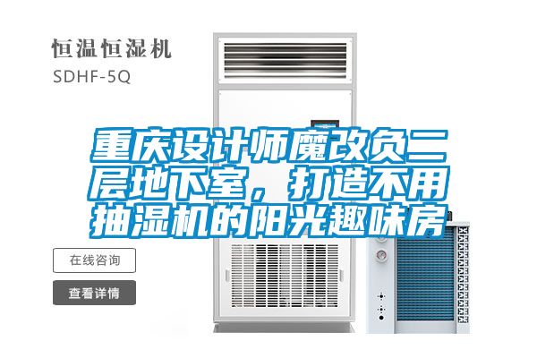 重慶設(shè)計(jì)師魔改負(fù)二層地下室，打造不用抽濕機(jī)的陽(yáng)光趣味房