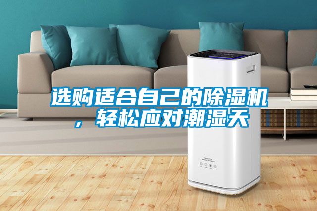 選購適合自己的除濕機，輕松應對潮濕天