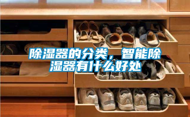 除濕器的分類，智能除濕器有什么好處