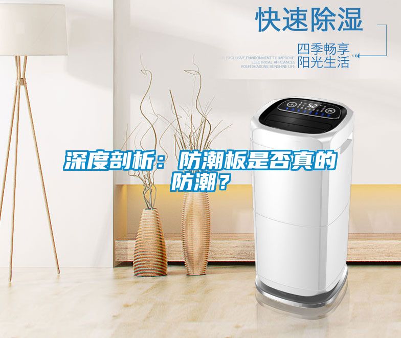 深度剖析：防潮板是否真的防潮？
