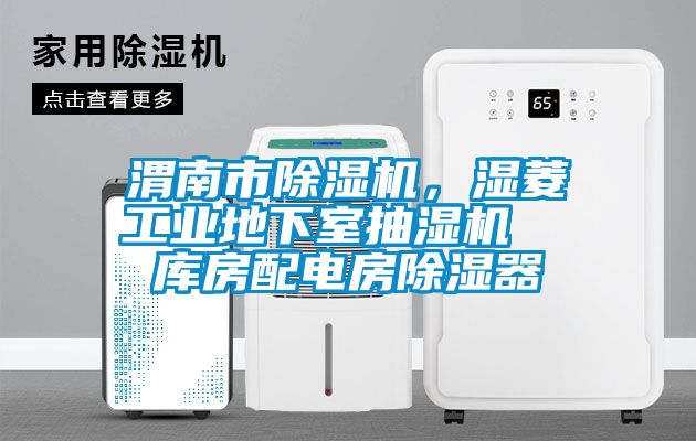 渭南市除濕機，濕菱工業(yè)地下室抽濕機  庫房配電房除濕器