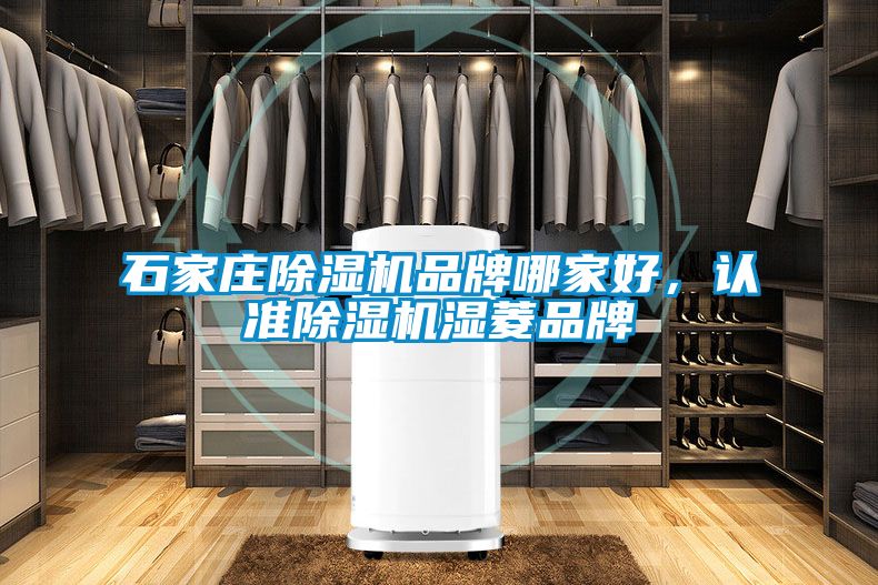 石家莊除濕機(jī)品牌哪家好，認(rèn)準(zhǔn)除濕機(jī)濕菱品牌