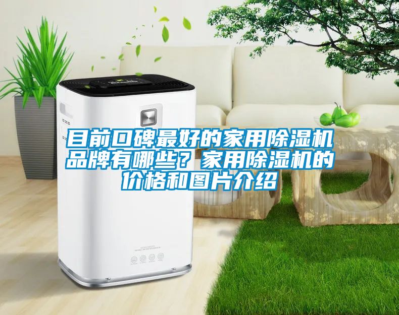 目前口碑最好的家用除濕機(jī)品牌有哪些？家用除濕機(jī)的價(jià)格和圖片介紹