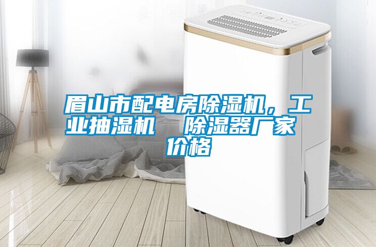 眉山市配電房除濕機，工業(yè)抽濕機  除濕器廠家 價格