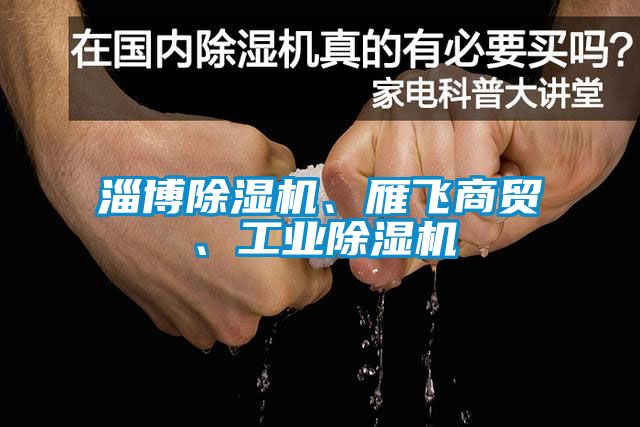 淄博除濕機、雁飛商貿(mào)、工業(yè)除濕機