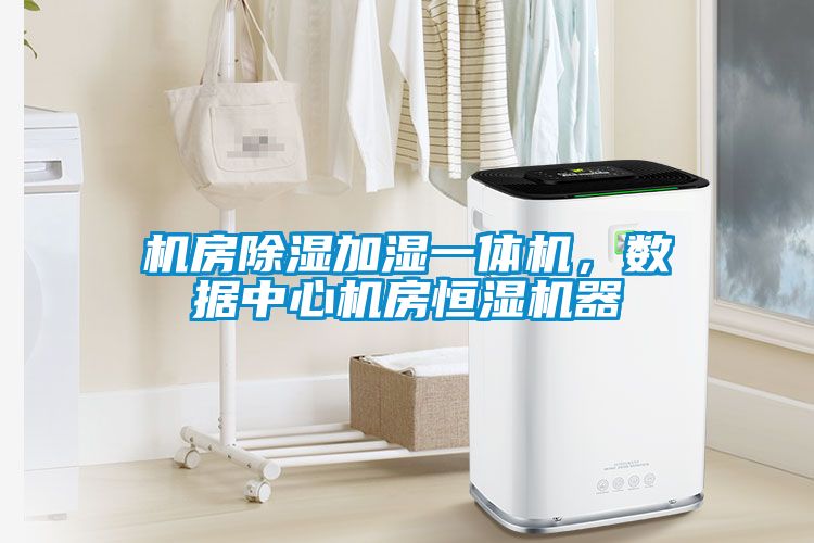 機房除濕加濕一體機，數(shù)據(jù)中心機房恒濕機器
